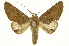 ( - INB0004192916)  @14 [ ] Copyright (2012) J. Montero INBio