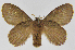  ( - INB0004192945)  @14 [ ] Copyright (2012) J. Montero Instituto Nacional de Biodiversidad
