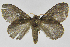  ( - INB0004193366)  @12 [ ] Copyright (2012) J. Montero Instituto Nacional de Biodiversidad