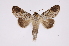  ( - INB0004200200)  @13 [ ] Copyright (2012) I. Chacon Instituto Nacional de Biodiversidad
