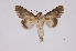  ( - INB0004200200)  @13 [ ] Copyright (2012) I. Chacon Instituto Nacional de Biodiversidad