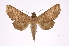  ( - INB0004200436)  @14 [ ] Copyright (2012) I. Chacon Instituto Nacional de Biodiversidad