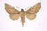  ( - INB0004200436)  @14 [ ] Copyright (2012) I. Chacon Instituto Nacional de Biodiversidad