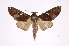  ( - INB0004202469)  @14 [ ] Copyright (2012) I. Chacon Instituto Nacional de Biodiversidad