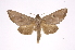  ( - INB0004202473)  @13 [ ] Copyright (2012) I. Chacon Instituto Nacional de Biodiversidad