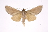  ( - INB0004202473)  @13 [ ] Copyright (2012) I. Chacon Instituto Nacional de Biodiversidad