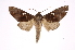  ( - INB0004202536)  @13 [ ] Copyright (2012) I. Chacon Instituto Nacional de Biodiversidad