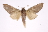  ( - INB0004202536)  @13 [ ] Copyright (2012) I. Chacon Instituto Nacional de Biodiversidad