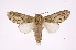  ( - INB0004202574)  @14 [ ] Copyright (2012) I. Chacon Instituto Nacional de Biodiversidad