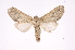  ( - INB0004202574)  @14 [ ] Copyright (2012) I. Chacon Instituto Nacional de Biodiversidad
