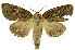  ( - INB0004204246)  @14 [ ] Copyright (2012) Juan Mata Lorenzen Unspecified