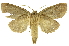  ( - INB0004204246)  @13 [ ] Copyright (2012) Juan Mata Lorenzen Unspecified