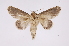  ( - INB0004204411)  @13 [ ] Copyright (2012) I. Chacon Instituto Nacional de Biodiversidad