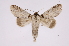  ( - INB0004205583)  @14 [ ] Copyright (2012) I. Chacon Instituto Nacional de Biodiversidad