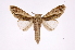  ( - INB0004205751)  @14 [ ] Copyright (2012) I. Chacon Instituto Nacional de Biodiversidad