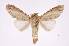  ( - INB0004205751)  @14 [ ] Copyright (2012) I. Chacon Instituto Nacional de Biodiversidad