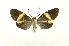  ( - INB0004208130)  @11 [ ] Copyright (2012) Juan Mata Lorenzen Unspecified
