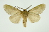  ( - INB0004208185)  @13 [ ] Copyright (2012) Juan Mata Lorenzen Unspecified