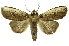  ( - INB0004209270)  @12 [ ] Copyright (2012) Juan Mata Lorenzen Unspecified