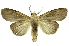  ( - INB0004209270)  @12 [ ] Copyright (2012) Juan Mata Lorenzen Unspecified