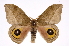  ( - INB0004209277)  @14 [ ] Copyright (2012) I. Chacon Instituto Nacional de Biodiversidad