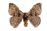  ( - INB0004209301)  @14 [ ] Copyright (2012) I. Chacon Instituto Nacional de Biodiversidad