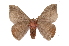  ( - INB0004209301)  @14 [ ] Copyright (2012) I. Chacon Instituto Nacional de Biodiversidad