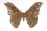 ( - INB0004210213)  @14 [ ] Copyright (2012) I. Chacon Instituto Nacional de Biodiversidad
