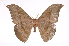  ( - INB0004210213)  @14 [ ] Copyright (2012) I. Chacon Instituto Nacional de Biodiversidad