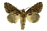  ( - INB0004210372)  @14 [ ] Copyright (2012) Juan Mata Lorenzen Unspecified