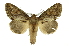  ( - INB0004210497)  @14 [ ] Copyright (2012) Juan Mata Lorenzen Unspecified