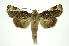  ( - INB0004210699)  @14 [ ] Copyright (2012) Juan Mata Lorenzen Unspecified