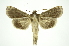  ( - INB0004210699)  @14 [ ] Copyright (2012) Juan Mata Lorenzen Unspecified
