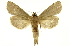  ( - INB0004210987)  @14 [ ] Copyright (2012) Juan Mata Lorenzen Unspecified