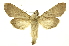  ( - INB0004211712)  @13 [ ] Copyright (2012) Juan Mata Lorenzen Unspecified