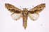  ( - INB0004213077)  @14 [ ] Copyright (2012) I. Chacon Instituto Nacional de Biodiversidad