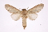 ( - INB0004213077)  @14 [ ] Copyright (2012) I. Chacon Instituto Nacional de Biodiversidad