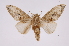  ( - INB0004215672)  @13 [ ] Copyright (2012) I. Chacon Instituto Nacional de Biodiversidad