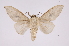  ( - INB0004215672)  @13 [ ] Copyright (2012) I. Chacon Instituto Nacional de Biodiversidad