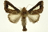  ( - INB0004215753)  @12 [ ] Copyright (2012) Juan Mata Lorenzen Unspecified