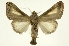  ( - INB0004215753)  @13 [ ] Copyright (2012) Juan Mata Lorenzen Unspecified