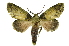  ( - INB0004217679)  @11 [ ] Copyright (2012) Juan Mata Lorenzen Unspecified