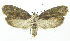  ( - INB0004222358)  @12 [ ] CreativeCommons - Attribution Non-Commercial Share-Alike  National Biodiversity Institute of Costa Rica National Biodiversity Institute of Costa Rica