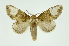  ( - INB0004222400)  @14 [ ] Copyright (2012) Juan Mata Lorenzen Unspecified