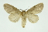  ( - INB0004222400)  @14 [ ] Copyright (2012) Juan Mata Lorenzen Unspecified