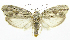  ( - INB0004222481)  @13 [ ] CreativeCommons - Attribution Non-Commercial Share-Alike  National Biodiversity Institute of Costa Rica National Biodiversity Institute of Costa Rica