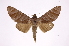  ( - INB0004222889)  @14 [ ] Copyright (2012) I. Chacon Instituto Nacional de Biodiversidad