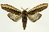  ( - INB0004225008)  @15 [ ] Copyright (2012) J. Montero INBio