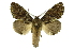  ( - INB0004225062)  @14 [ ] Copyright (2012) Juan Mata Lorenzen Unspecified