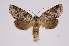  ( - INB0004225068)  @14 [ ] Copyright (2012) I. Chacon Instituto Nacional de Biodiversidad